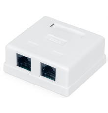 Мирарус MR-CS02-101 Розетка компьютерная RJ-45 (8P8C), категория 5e, двойная, внешняя, Dual IDC