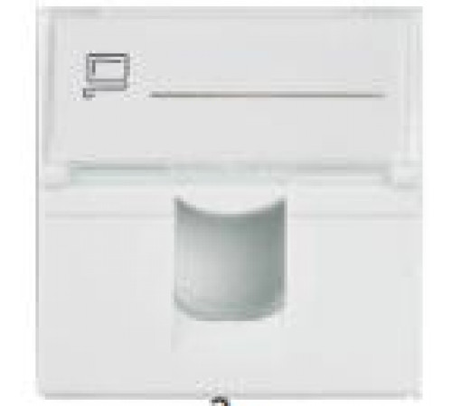 Мирарус MR-FP02-011 Вставка 45x45 (Mosaic) для 1 модуля формата Keystone Jack