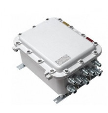 TFortis PSW-2G+Ex • 6 портовый уличный узел связи