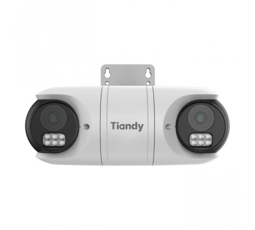 Tiandy TC-C38RN 2ANA-28 Сдвоенная купольная IP-камера